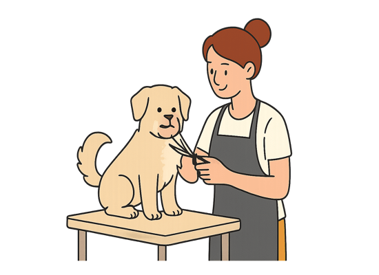 Frizerie canină și spa