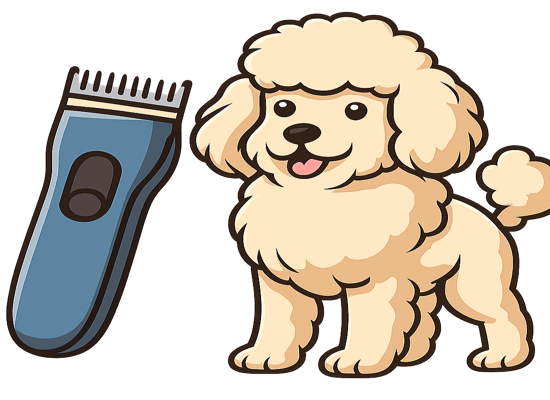 Frizerie canină Galați - Luxury Puffi Spa